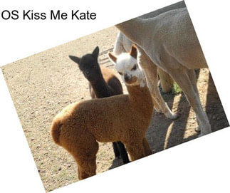 OS Kiss Me Kate
