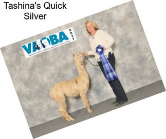 Tashina\'s Quick Silver