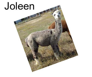 Joleen