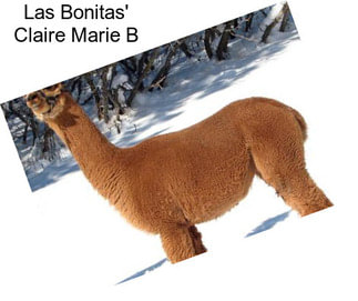 Las Bonitas\' Claire Marie B