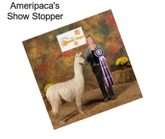 Ameripaca\'s Show Stopper