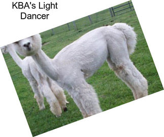 KBA\'s Light Dancer
