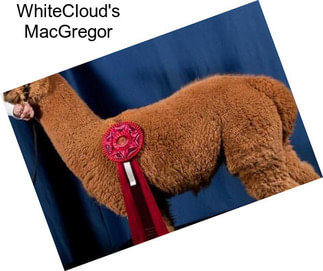 WhiteCloud\'s MacGregor