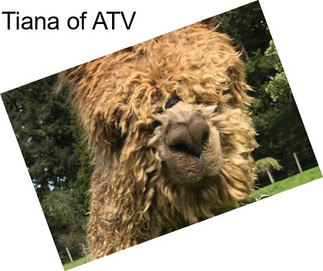 Tiana of ATV