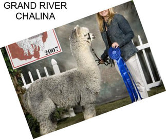 GRAND RIVER CHALINA