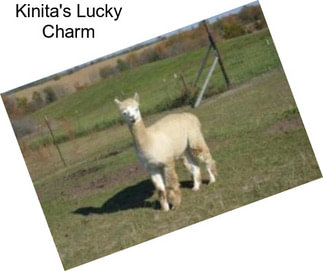 Kinita\'s Lucky Charm