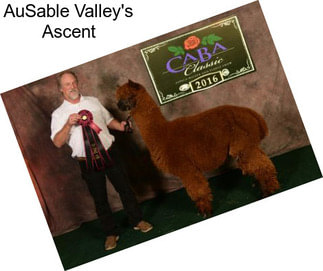 AuSable Valley\'s Ascent