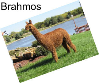 Brahmos