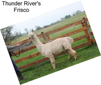 Thunder River\'s Frisco