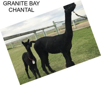 GRANITE BAY CHANTAL