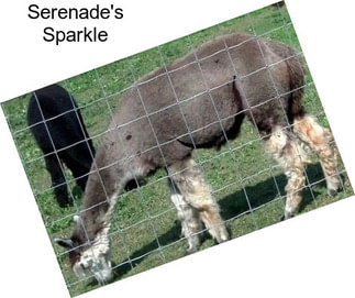 Serenade\'s Sparkle