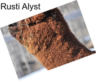 Rusti Alyst