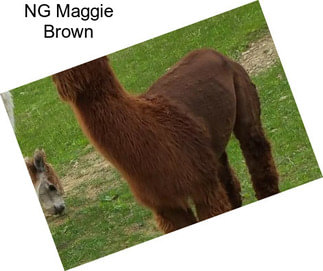 NG Maggie Brown