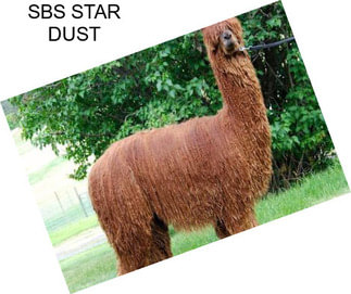 SBS STAR DUST