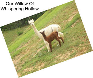 Our Willow Of Whispering Hollow