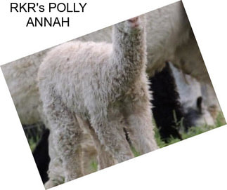 RKR\'s POLLY ANNAH