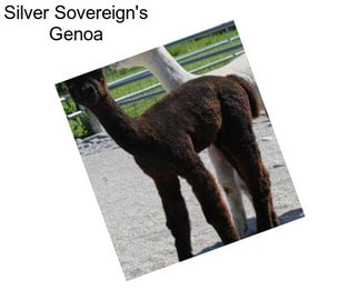 Silver Sovereign\'s Genoa