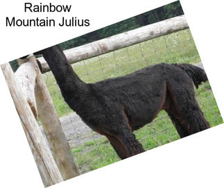 Rainbow Mountain Julius