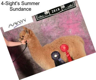 4-Sight\'s Summer Sundance