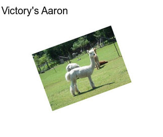 Victory\'s Aaron