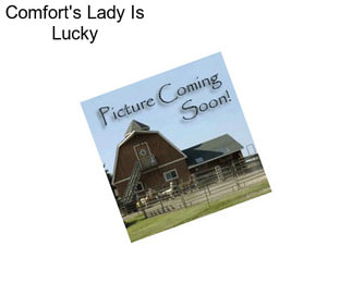 Comfort\'s Lady Is Lucky