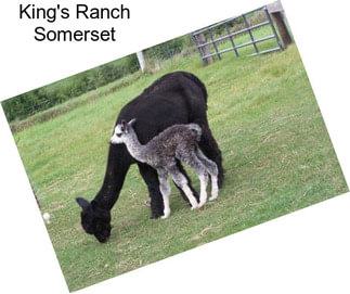 King\'s Ranch Somerset