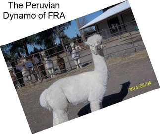 The Peruvian Dynamo of FRA