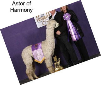 Astor of Harmony