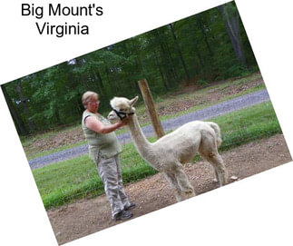 Big Mount\'s Virginia