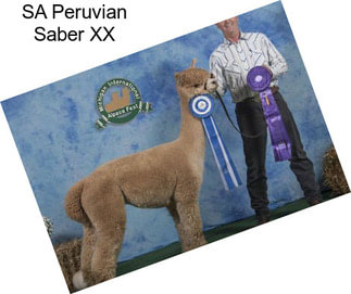 SA Peruvian Saber XX