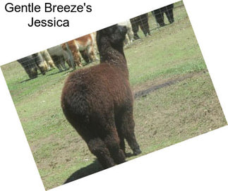 Gentle Breeze\'s Jessica