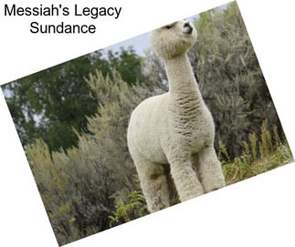 Messiah\'s Legacy Sundance