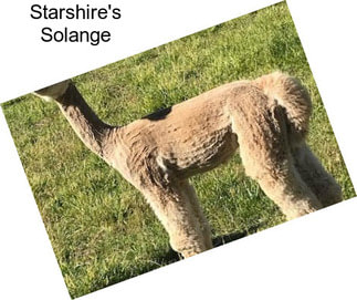 Starshire\'s Solange