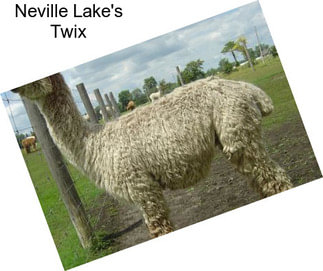 Neville Lake\'s Twix