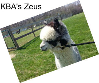 KBA\'s Zeus
