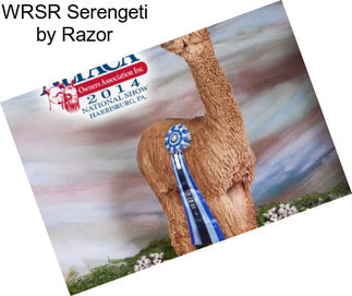 WRSR Serengeti by Razor