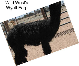 Wild West\'s Wyatt Earp