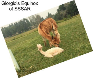 Giorgio\'s Equinox of SSSAR