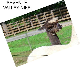 SEVENTH VALLEY NIKE