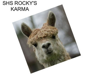 SHS ROCKY\'S KARMA