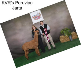 KVR\'s Peruvian Jarta