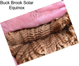 Buck Brook Solar Equinox