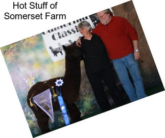 Hot Stuff of Somerset Farm