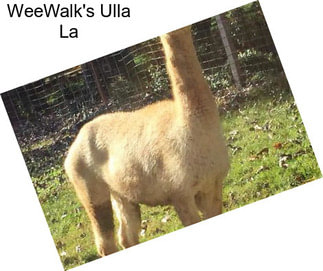 WeeWalk\'s Ulla La