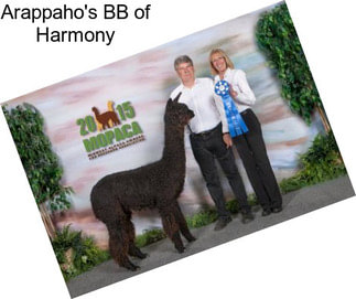 Arappaho\'s BB of Harmony