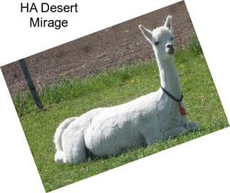 HA Desert Mirage