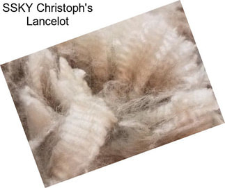 SSKY Christoph\'s Lancelot