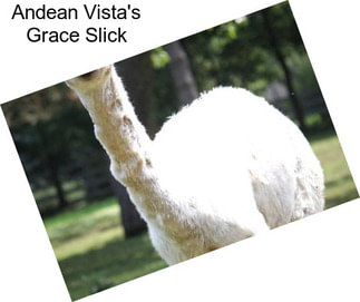 Andean Vista\'s Grace Slick