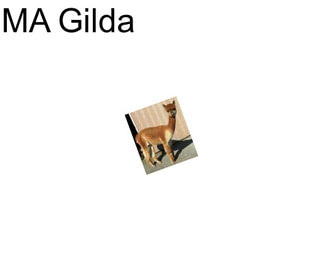 MA Gilda