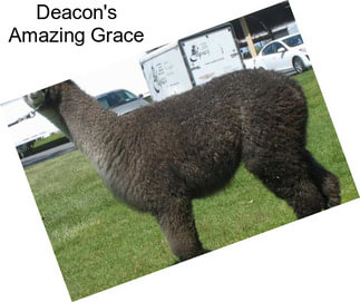 Deacon\'s Amazing Grace